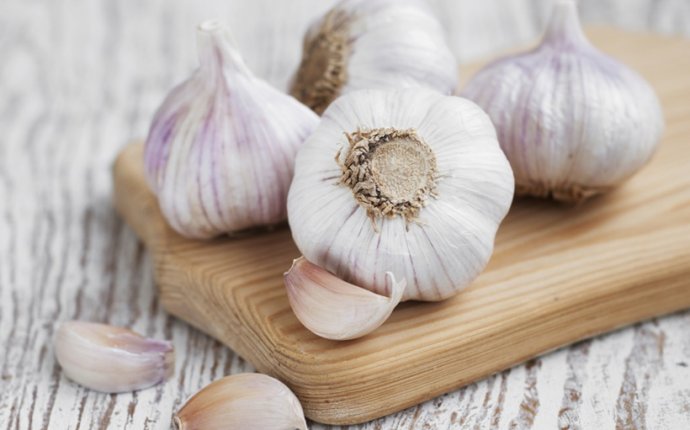 Garlic weight loss tips