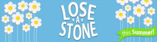 Lose a Stone for Summer Banner Advert